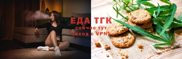 прущие грибы Михайлов