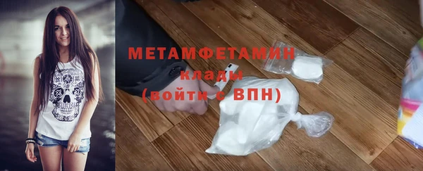 прущие грибы Михайлов