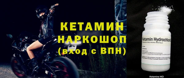 прущие грибы Михайлов