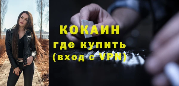 прущие грибы Михайлов