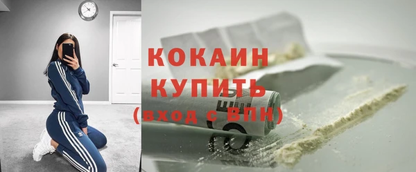 прущие грибы Михайлов