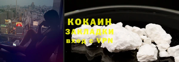 прущие грибы Михайлов