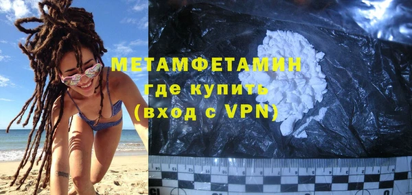 прущие грибы Михайлов