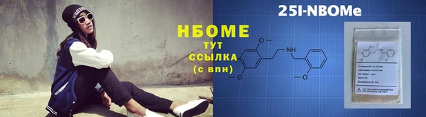 прущие грибы Михайлов