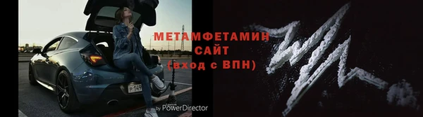 прущие грибы Михайлов