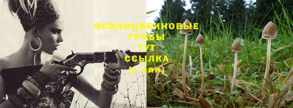 трава Михайловск