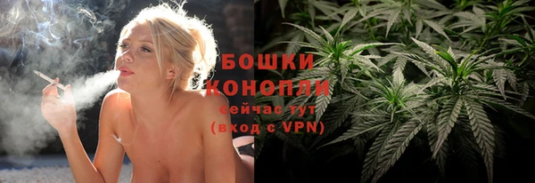 прущие грибы Михайлов