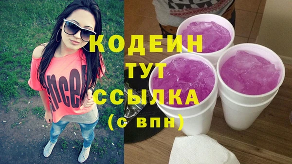 прущие грибы Михайлов