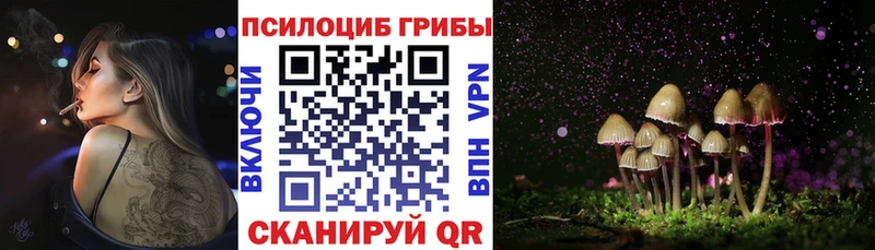 Галлюциногенные грибы мицелий  Павловская 